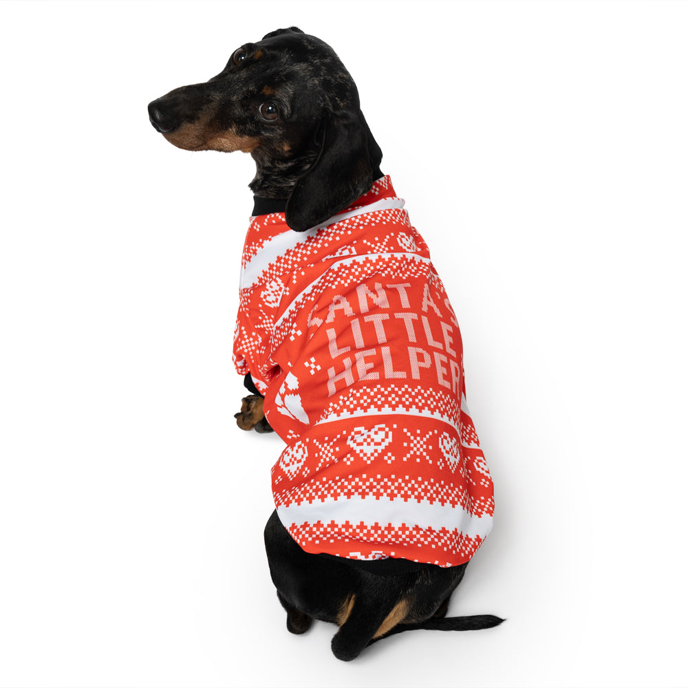 Santa's Little Helper Dog Jumper