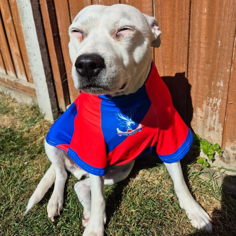Crystal Palace Personalised Dog Shirt