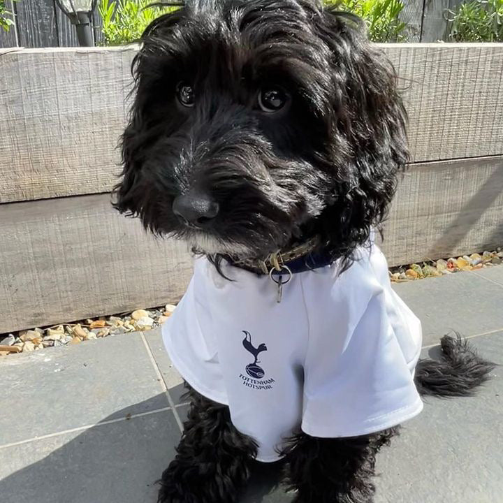 Personalised Spurs Dog Shirt