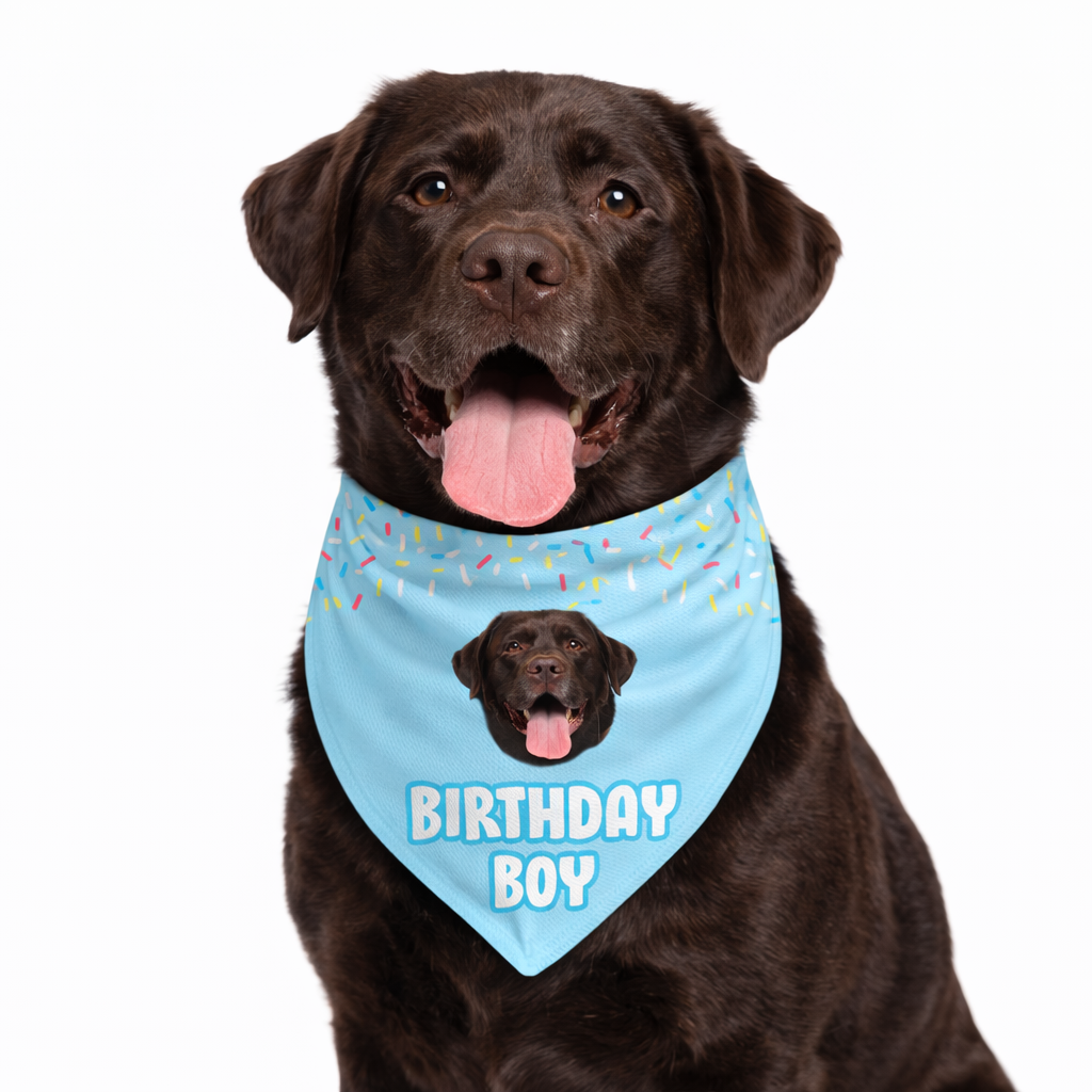 Birthday Boy Personalised Dog Bandana