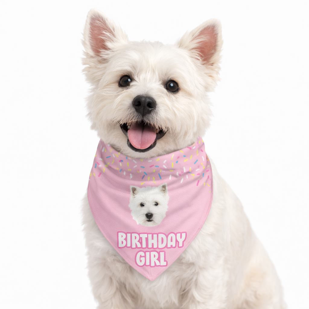 Birthday Girl Personalised Dog Bandana