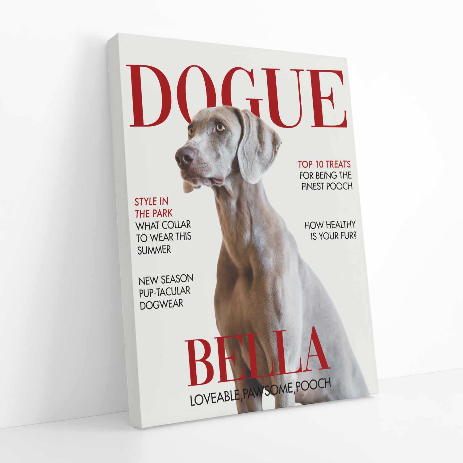 Dogue Photo Canvas