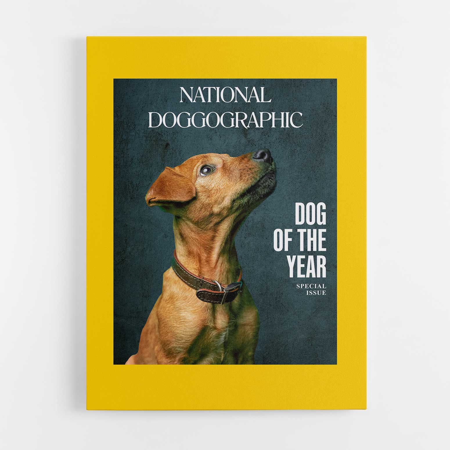 National Doggographic Photo Canvas