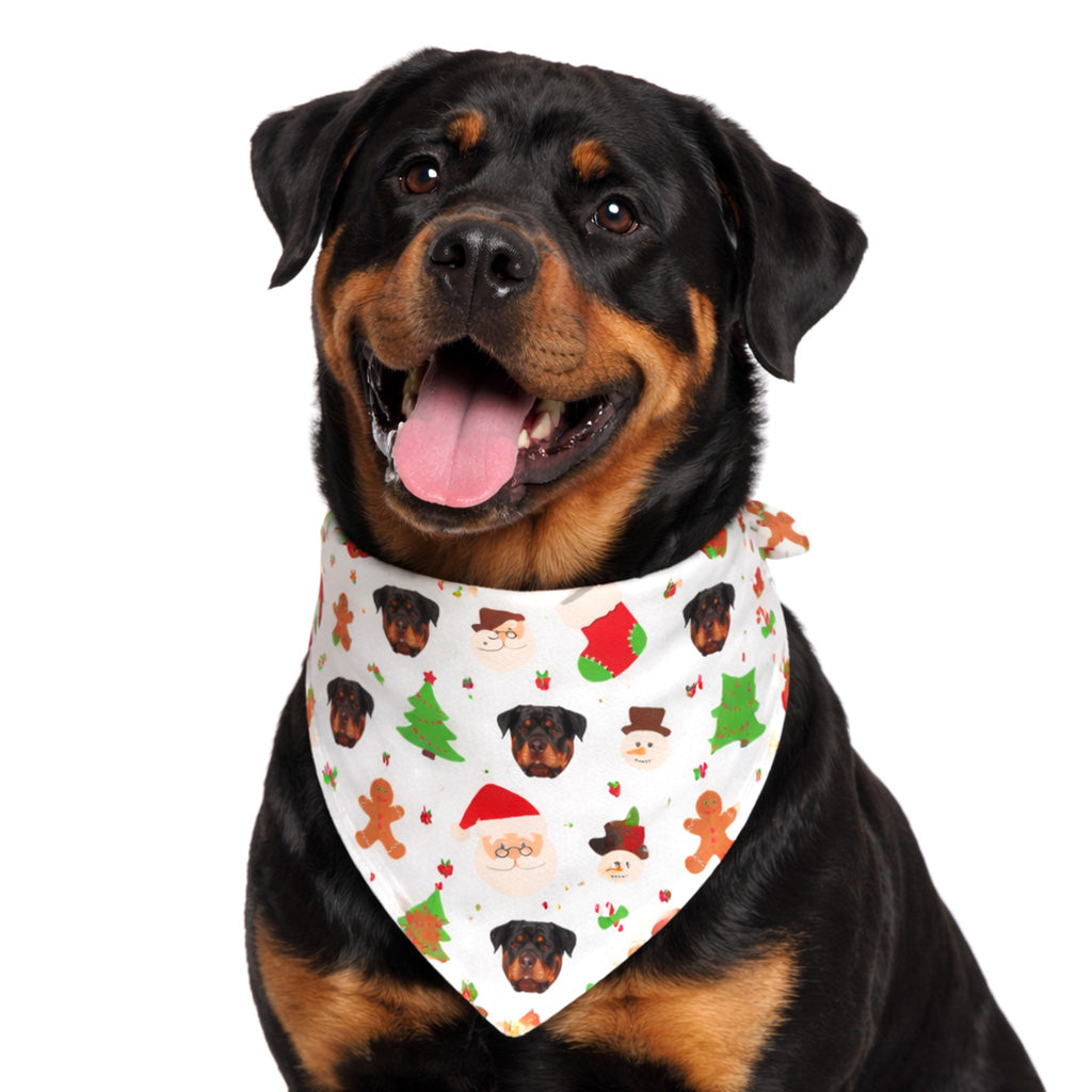 Christmas Reindeer Personalised Dog Bandana