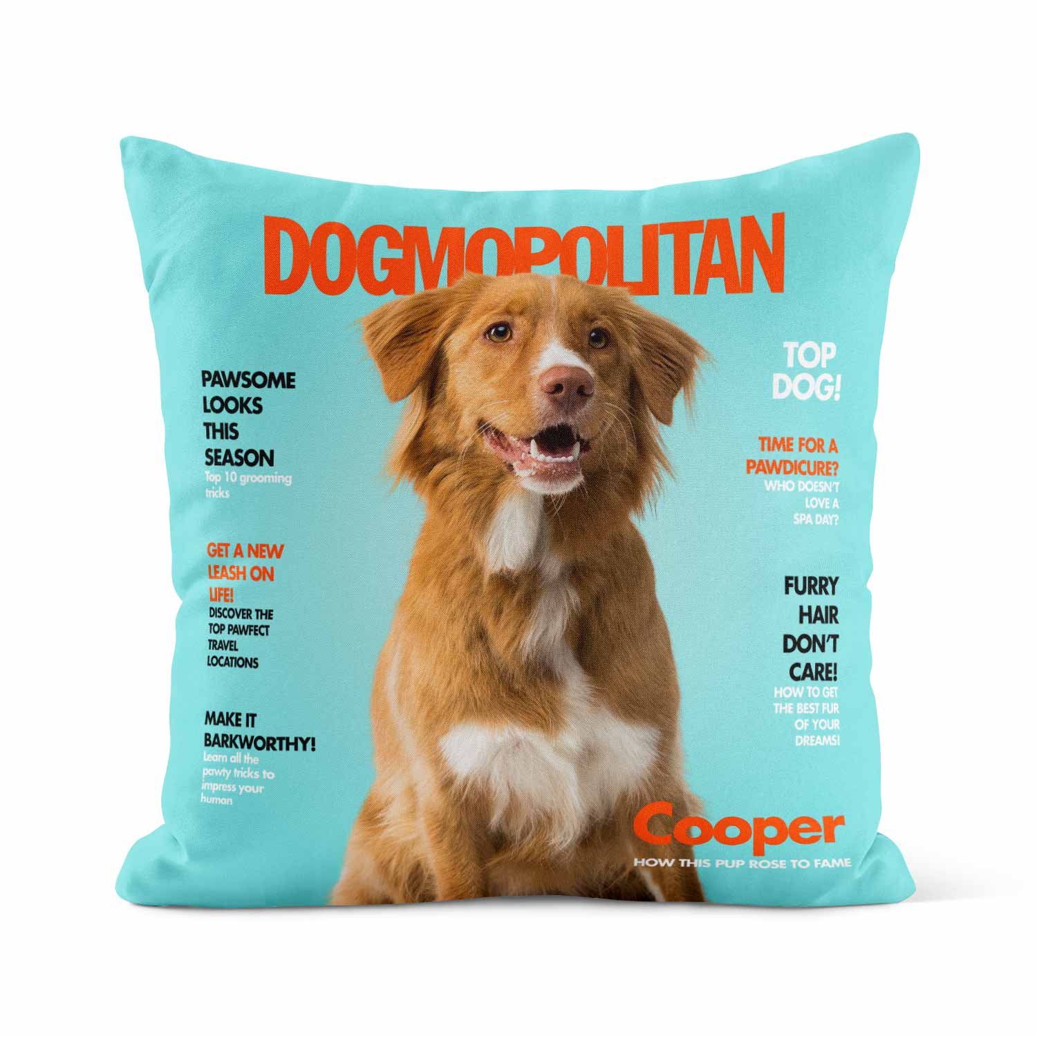 Dogmopolitan Fashion Magazine Personalised Cushion
