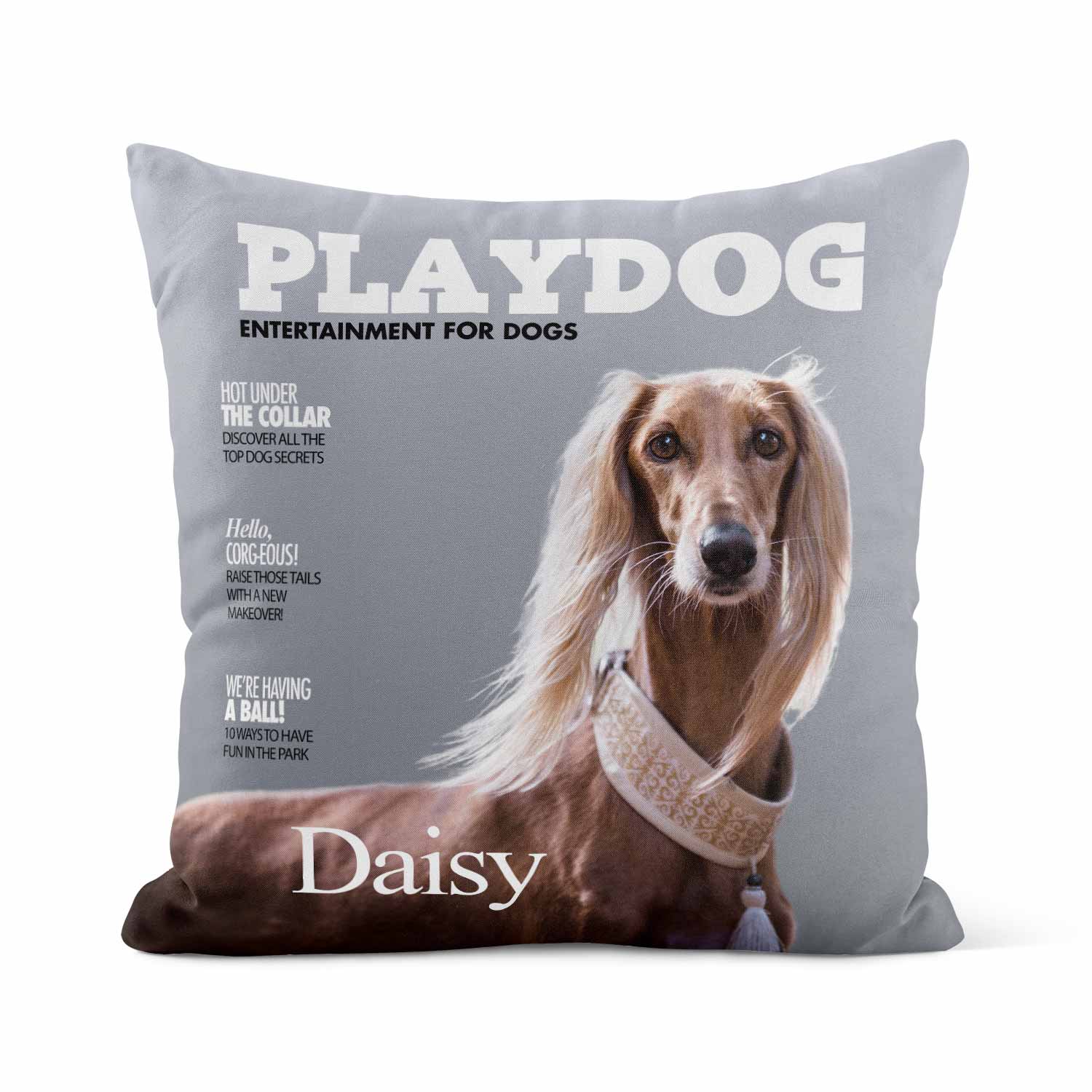 PlayDog Magazine Personalised Cushion