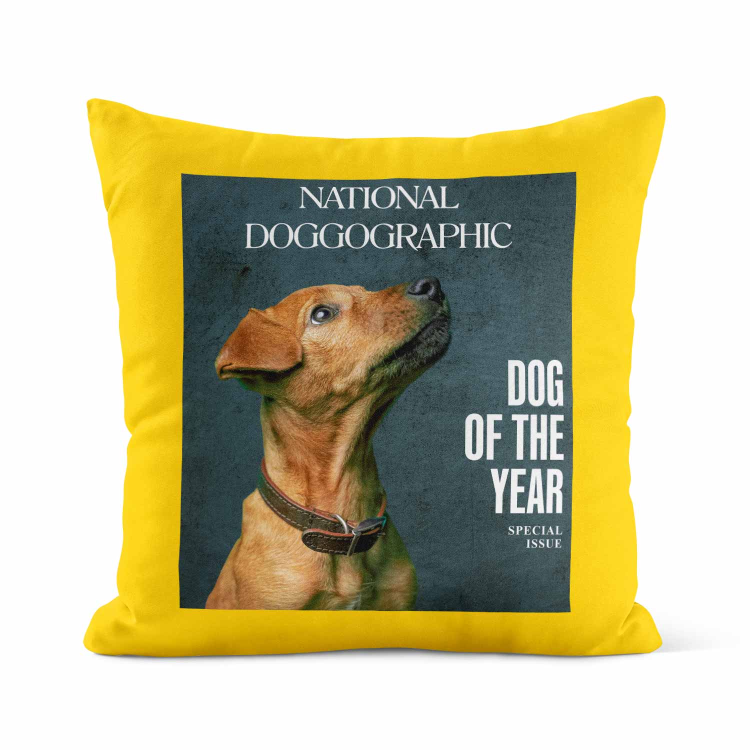 National Doggographic Magazine Personalised Cushion