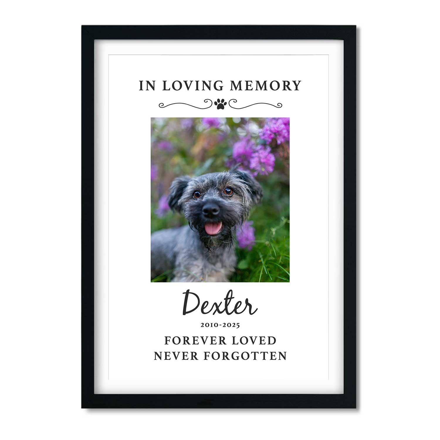 Framed memorial print for a dog named Dexter with a photo of a smiling dog among flowers and text 'In Loving Memory' on a white background.