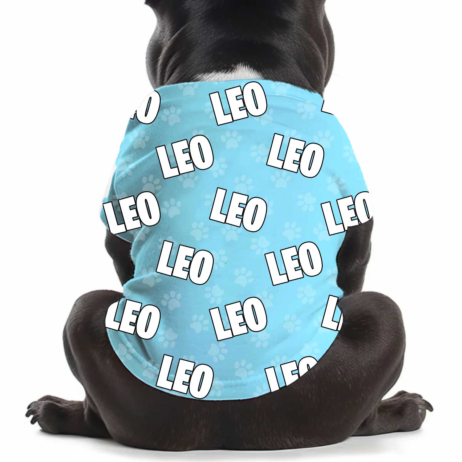 Dog Name Paw Print Personalised Dog T Shirt