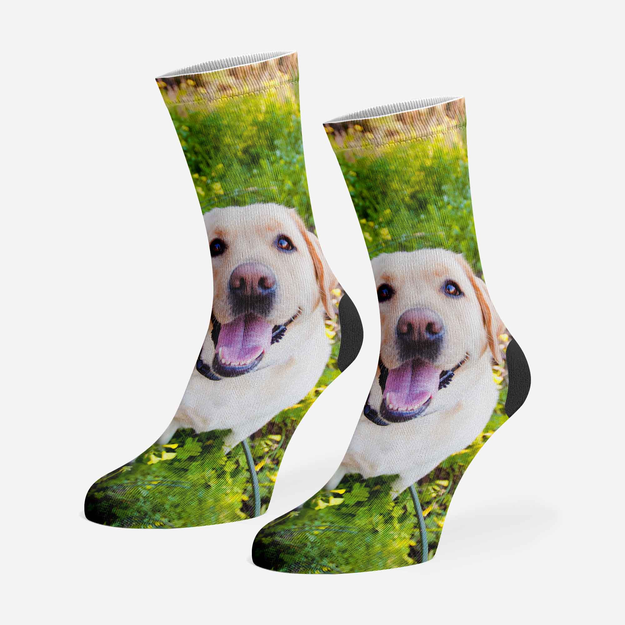 Full Photo Personalised Dog Socks