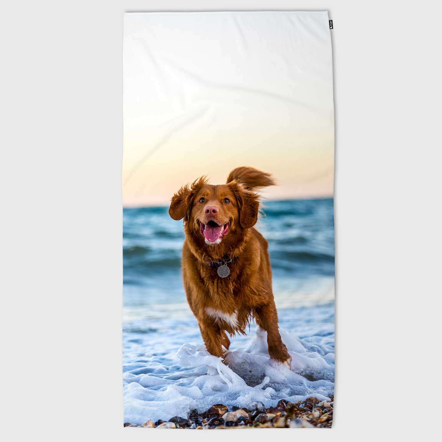 All Over Full Portrait Photo Personalised Dog Towel