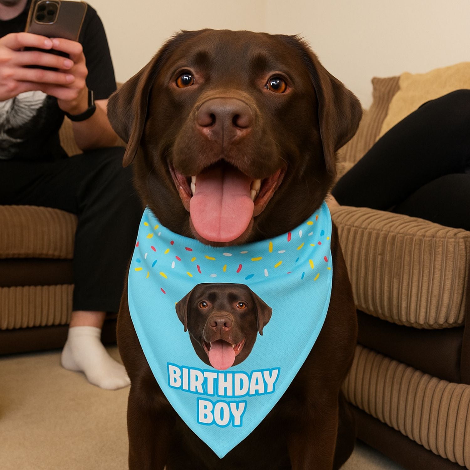 Birthday Boy Personalised Dog Bandana