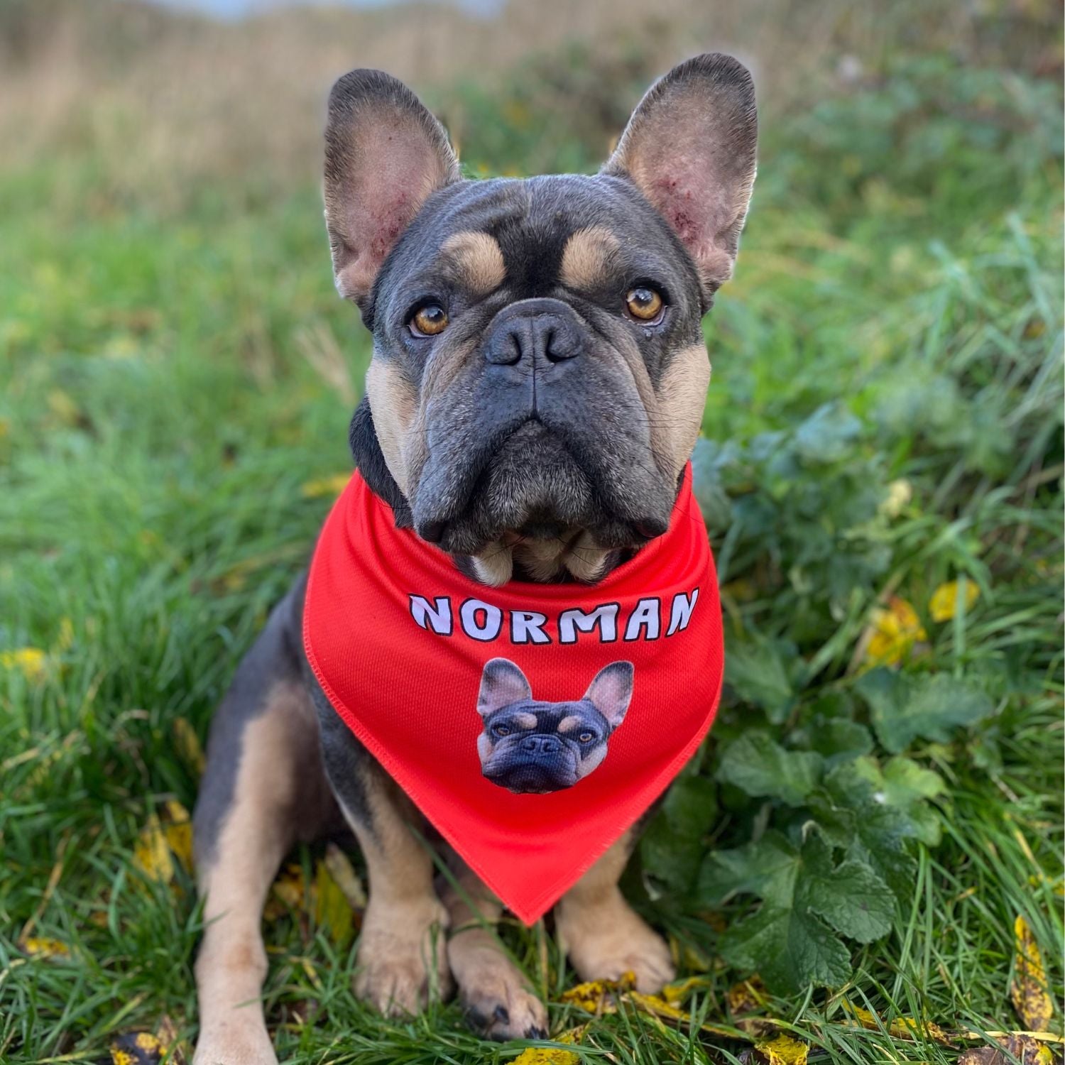 Personalised Name Dog Bandana
