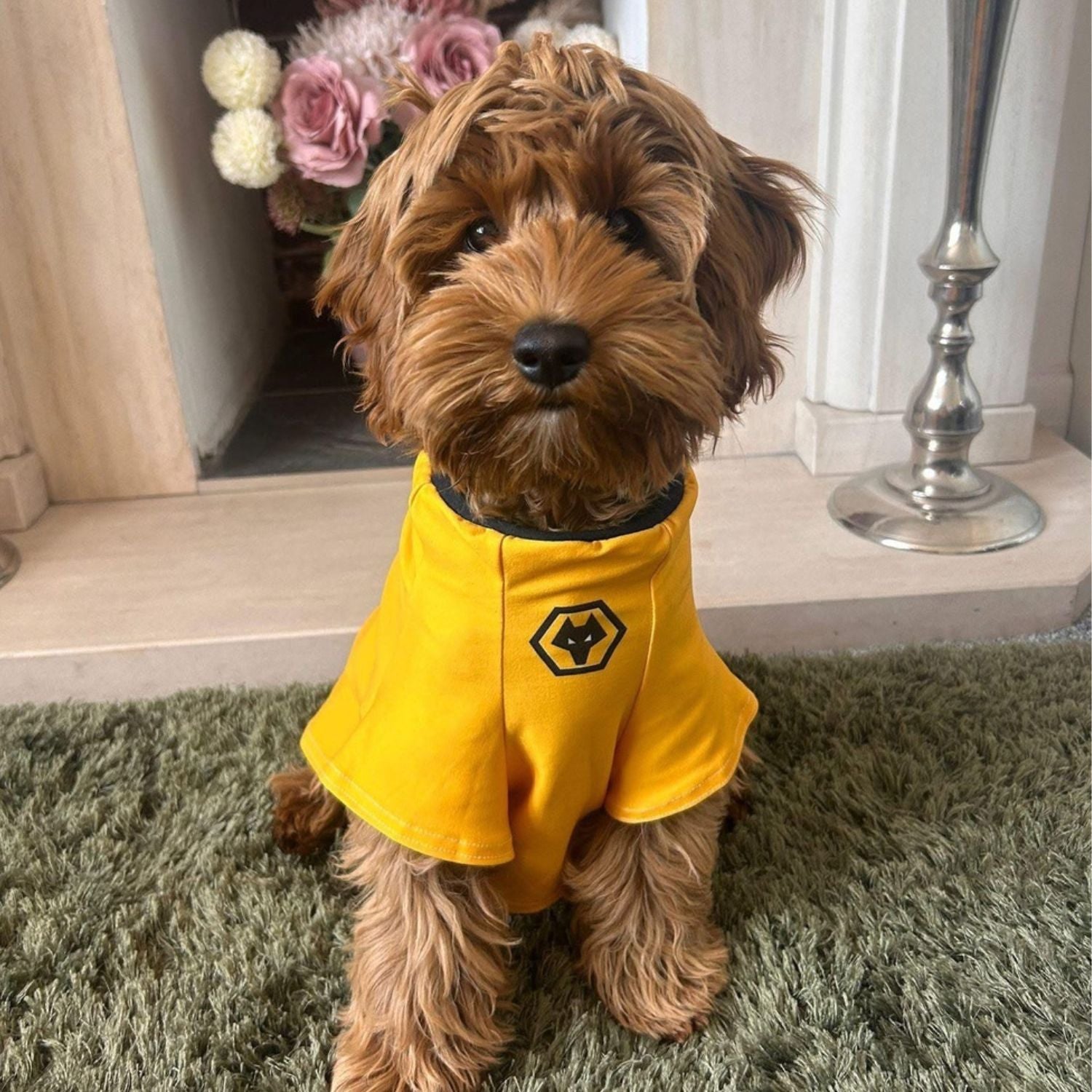 personalised dog wolves shirt