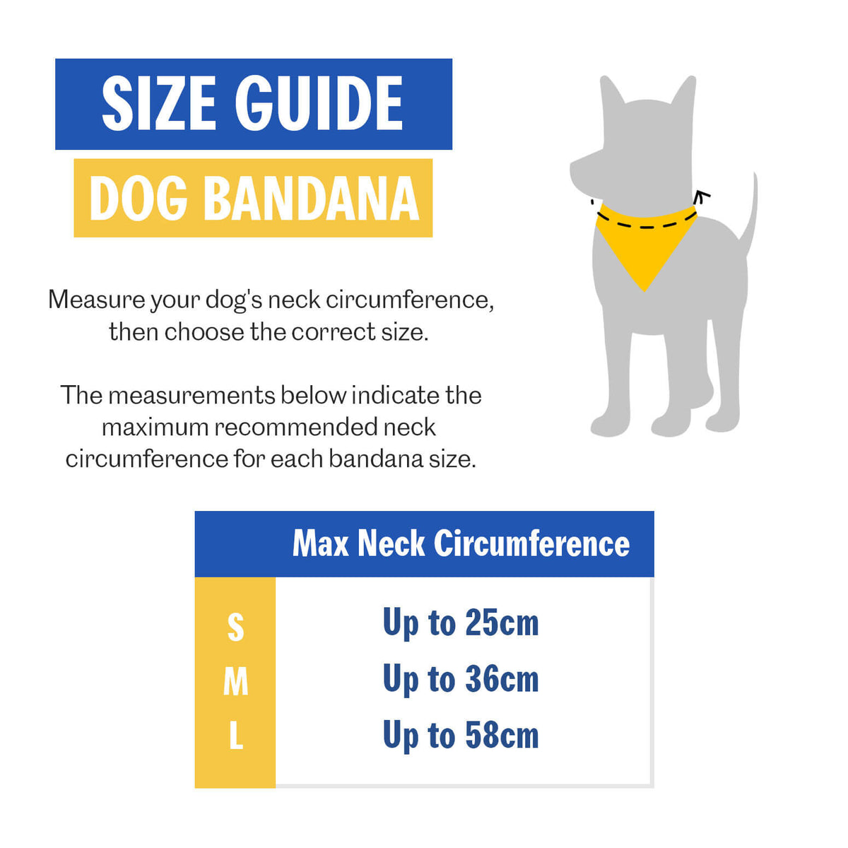 Top Dog Personalised Birthday Bandana