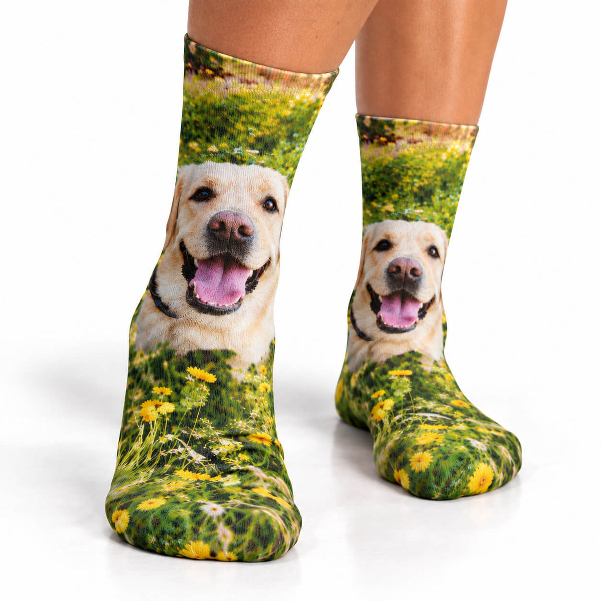 Full Photo Personalised Dog Socks
