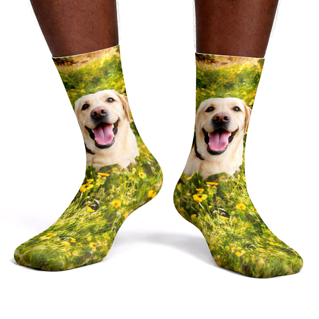 Full Photo Personalised Dog Socks