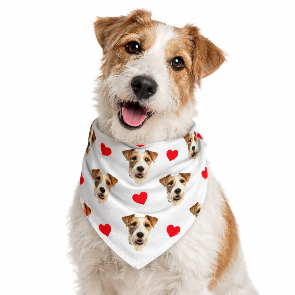 Hearts Personalised Dog Bandana