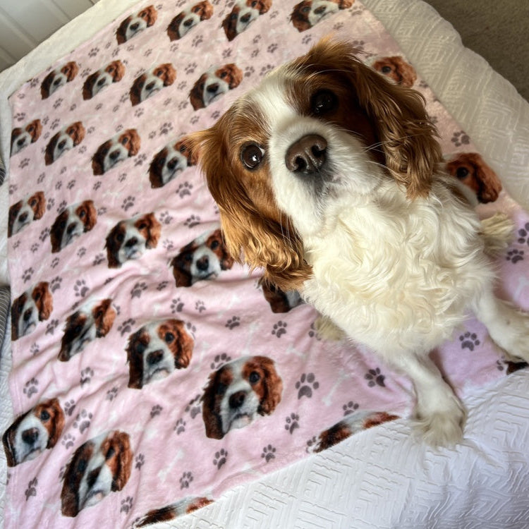 The Dogsy Personalised Blanket