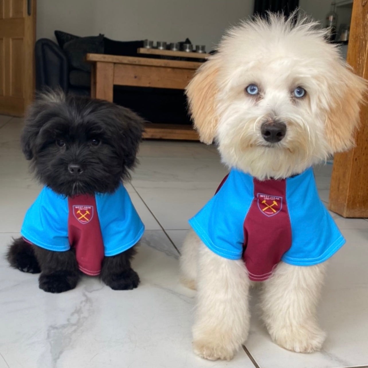 West Ham Dog Shirt