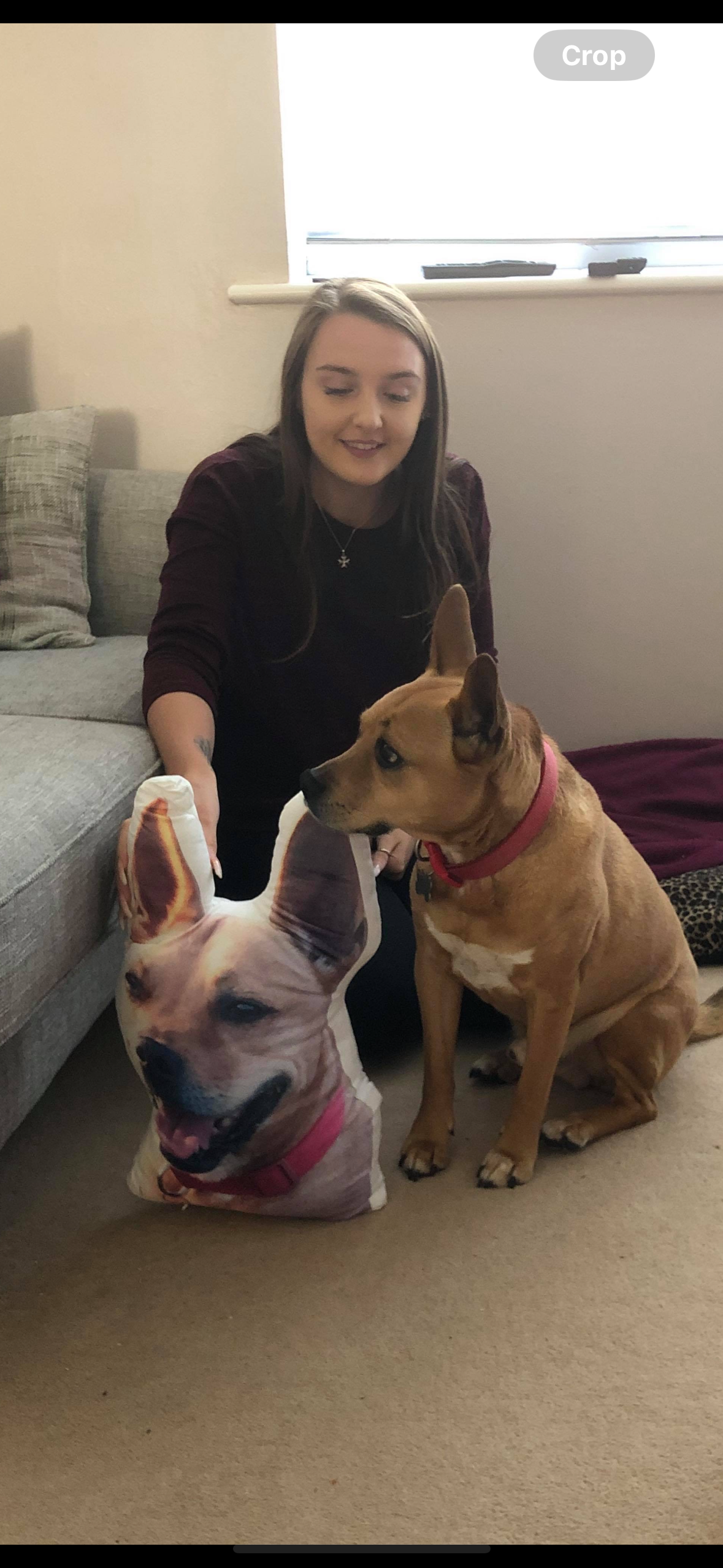 Your Dog Monster Face Cushion