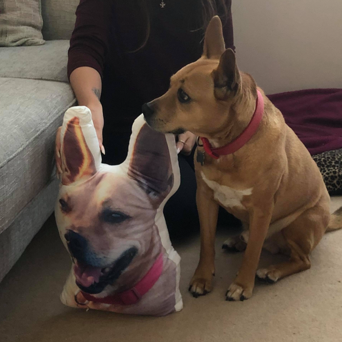 Your Dog Monster Face Cushion