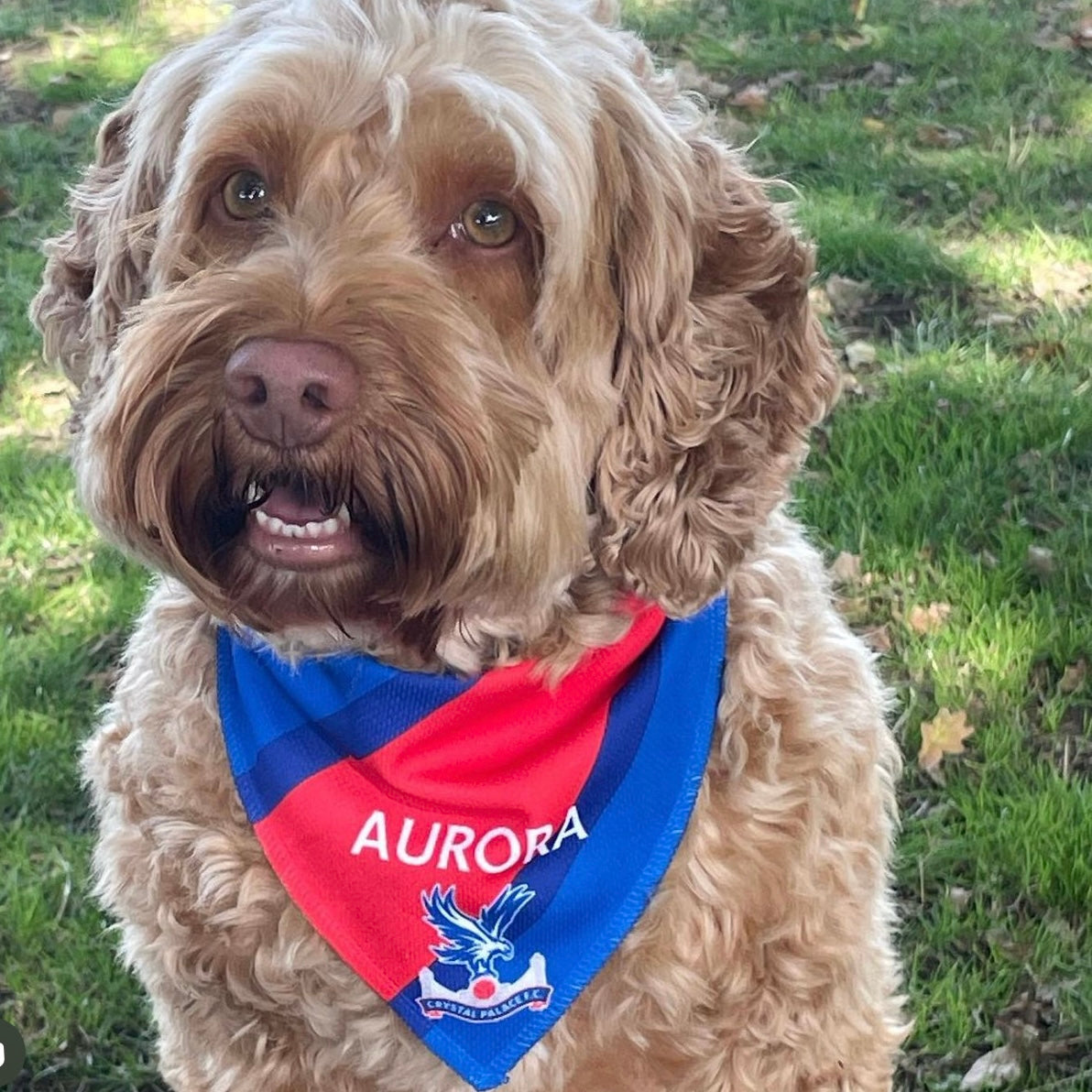 Personalised Crystal Palace Dog Bandana