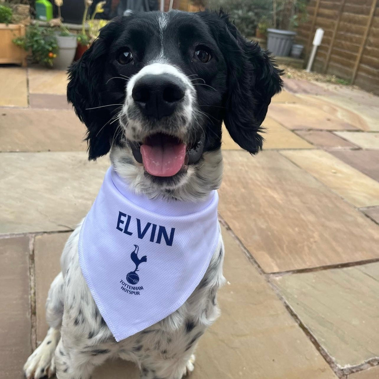 Spurs Personalised Dog Shirt