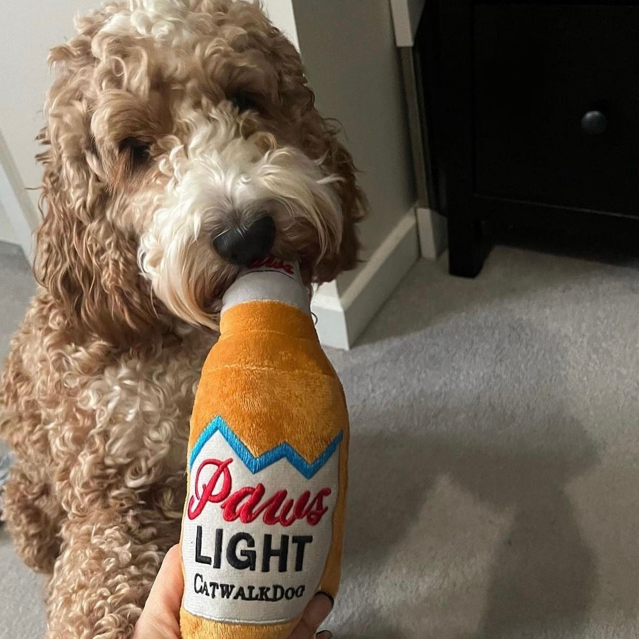 Paws Light Beer Bottle Plush Dog Toy