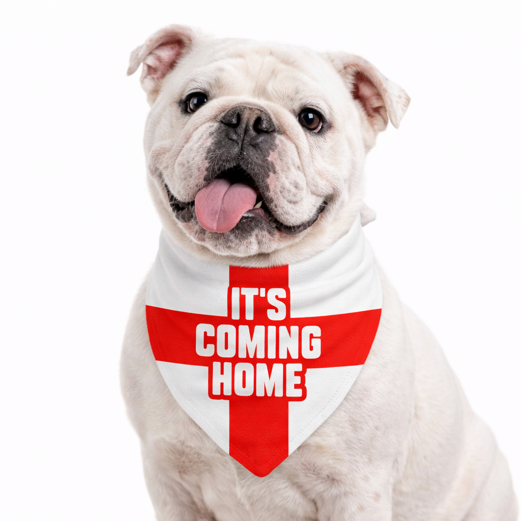 It's Coming Home Flag Dog Bandana