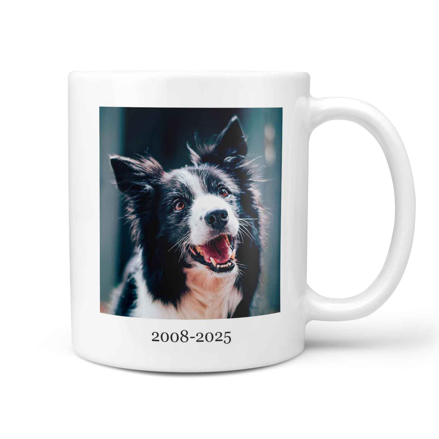 (Dog Name) You Left Paw Prints On My Heart Personalised Memorial Mug