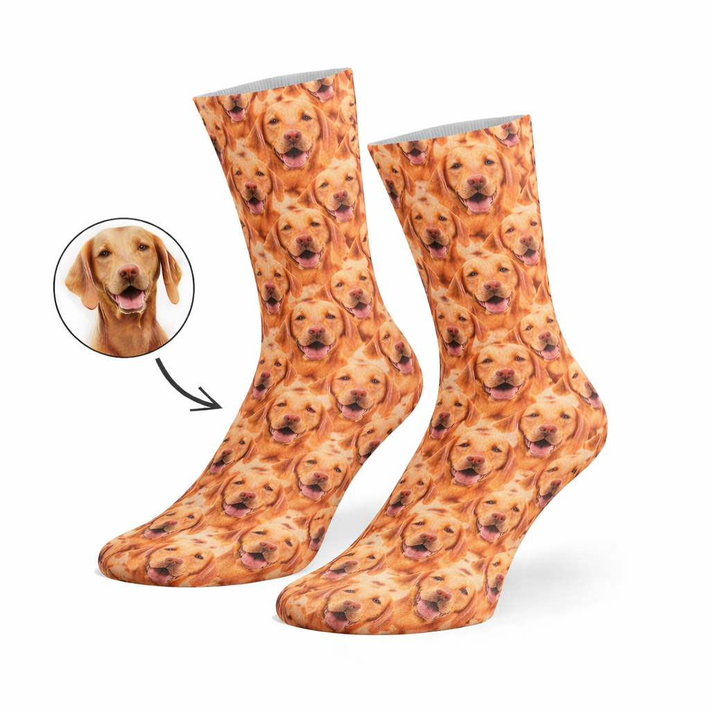Mash Up Dogsy Socks