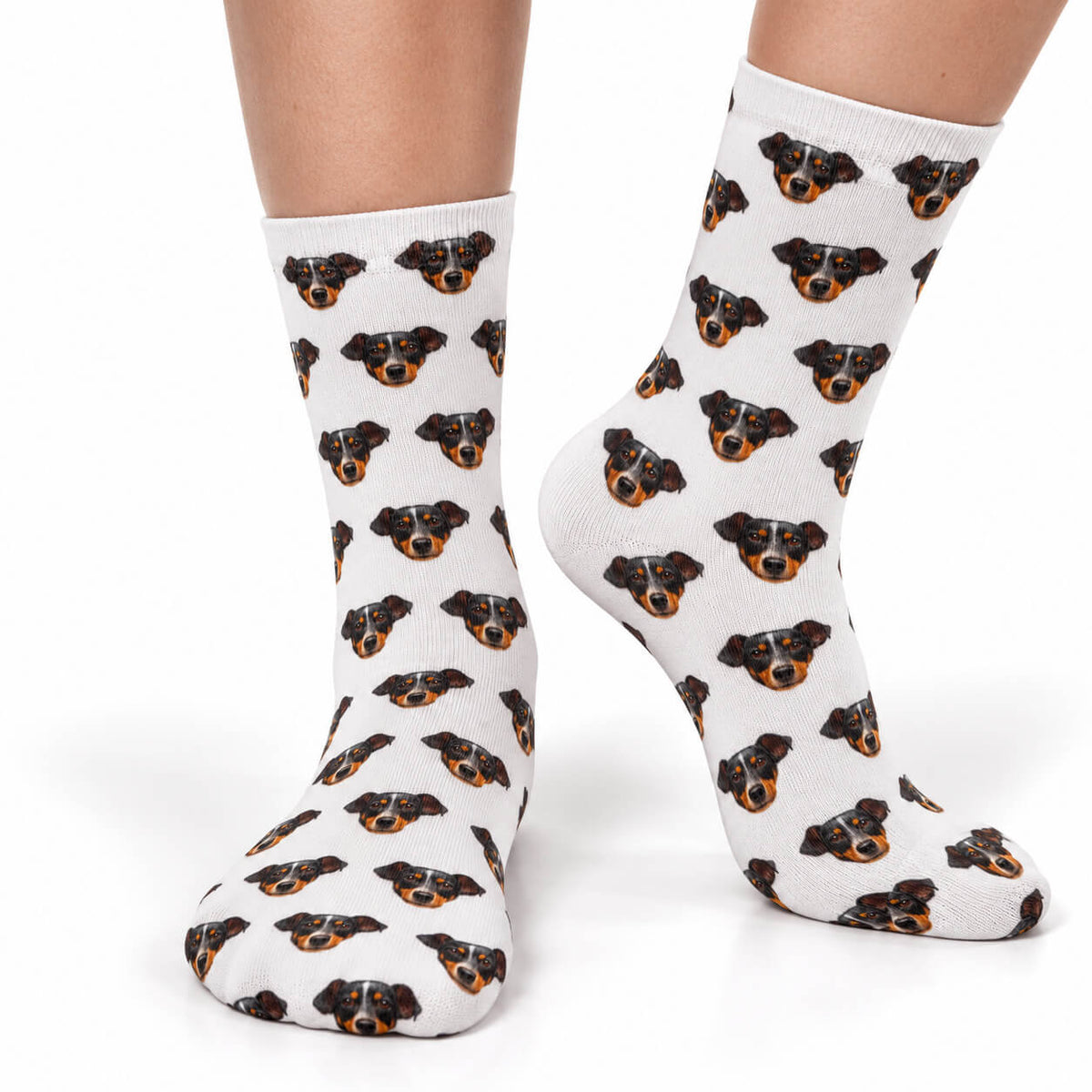 Pattern Dog Socks
