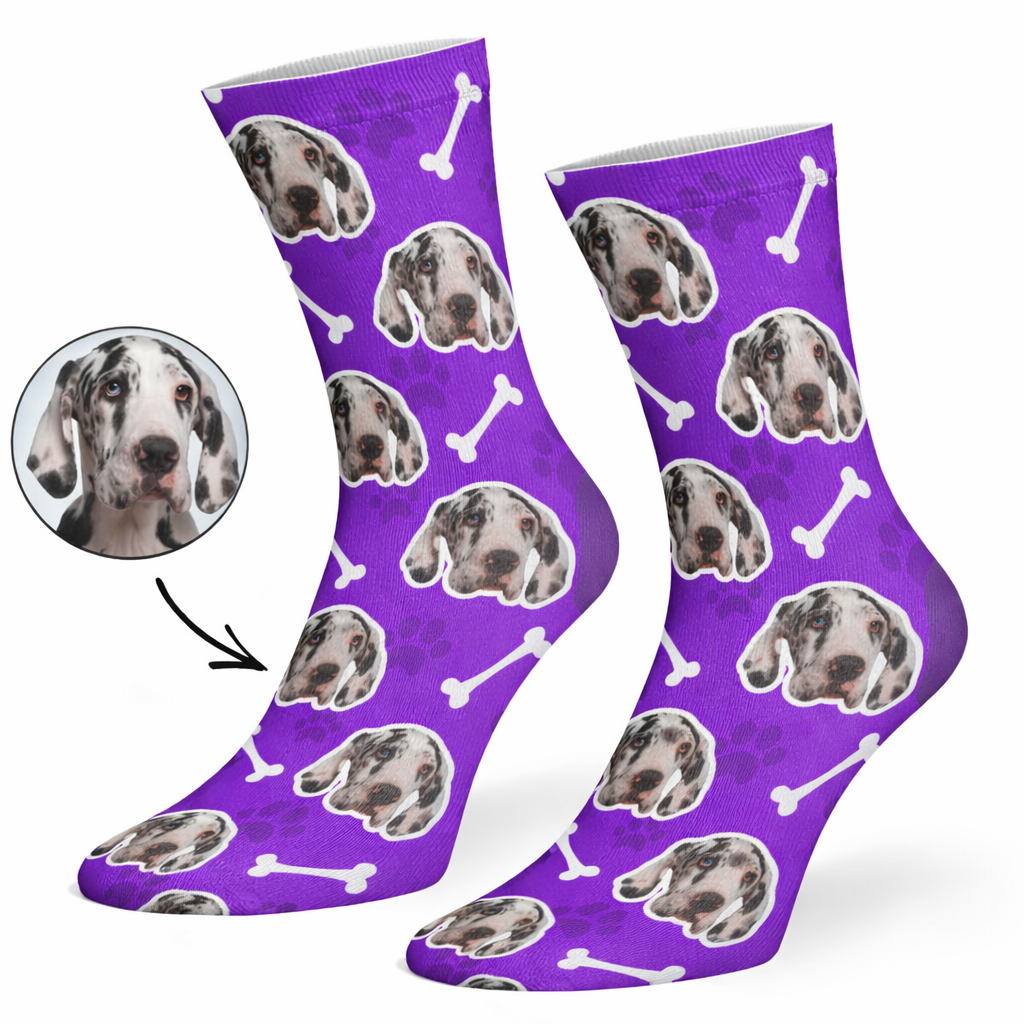 Your Dog on Socks