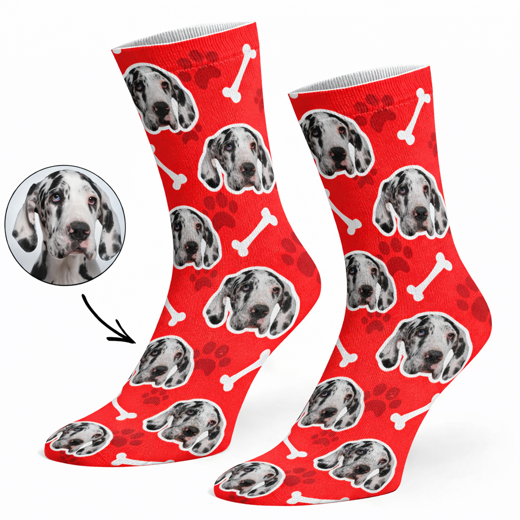 Your Dog on Socks