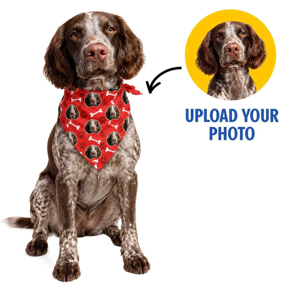 The Dogsy Personalised Dog Bandana
