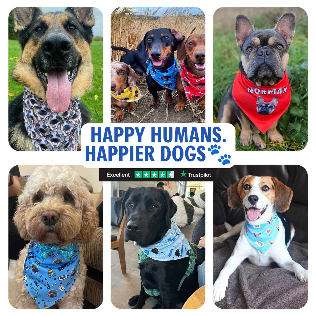 Top Dog Personalised Birthday Bandana