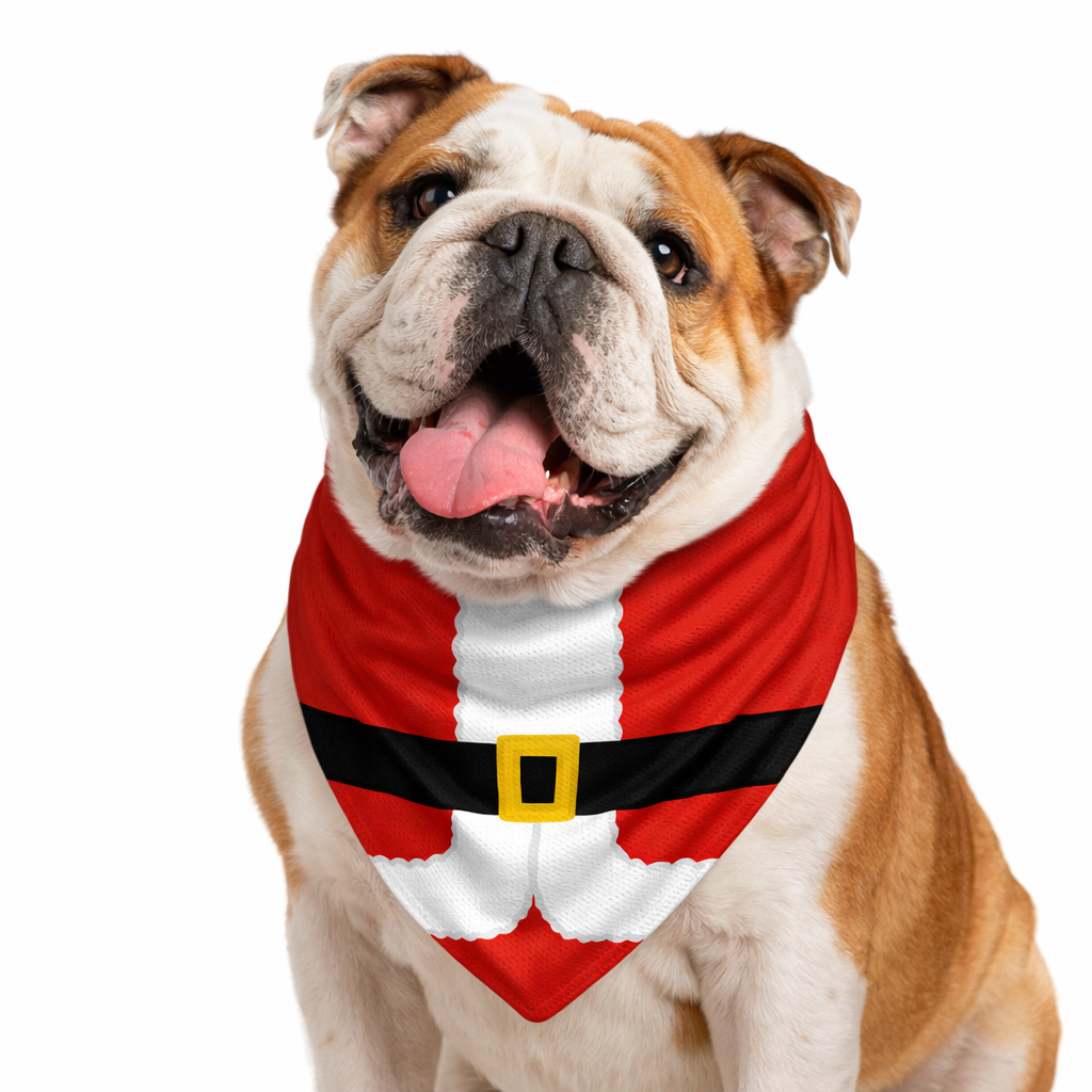 Santa Dog Bandana
