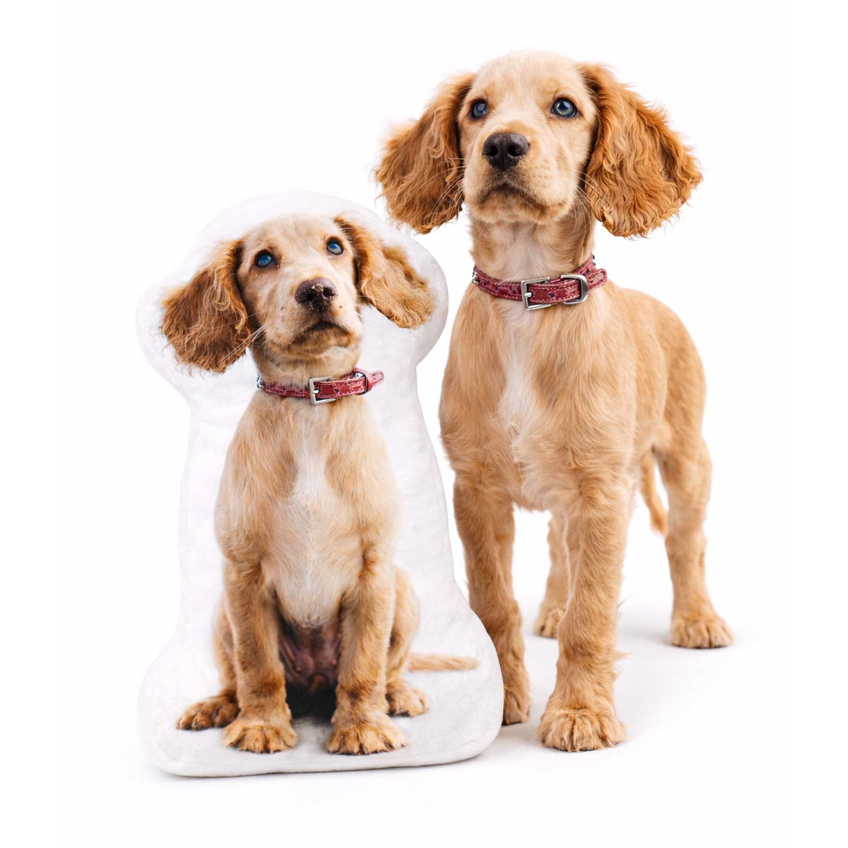 Dog Photo Shaped Pillow