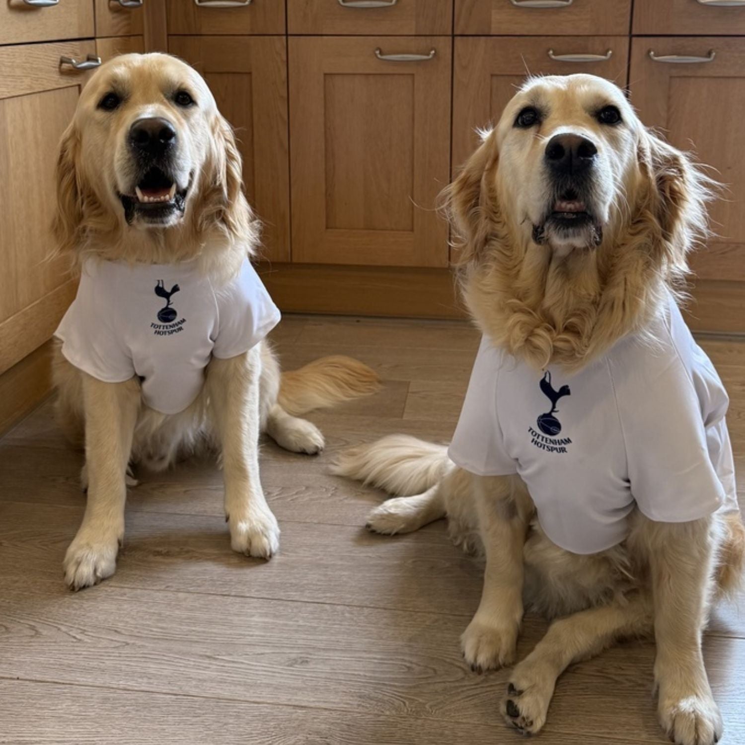 Personalised Spurs Dog Shirt