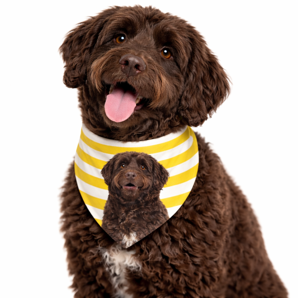 Stripey Personalised Dog Bandana