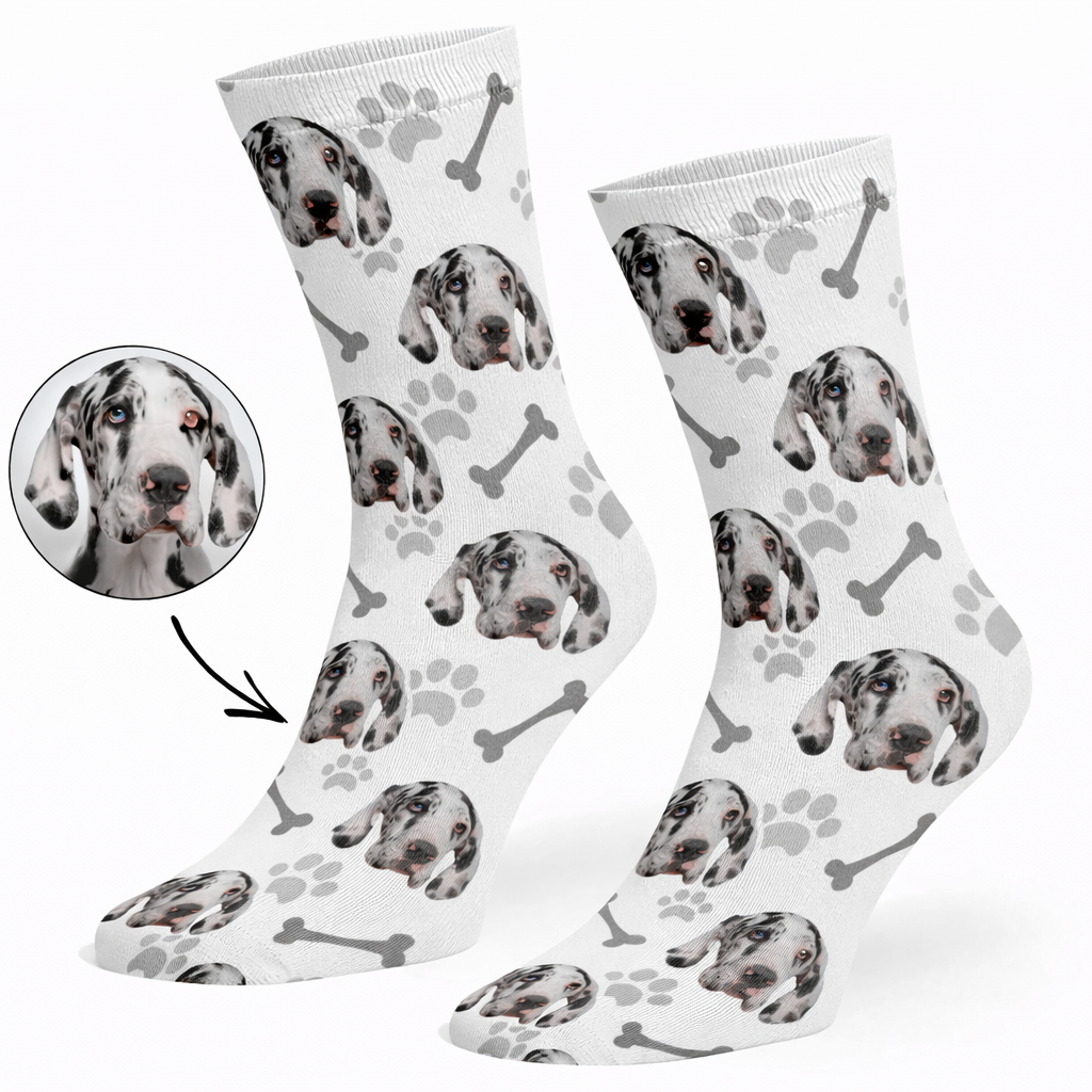 Your Dog on Socks
