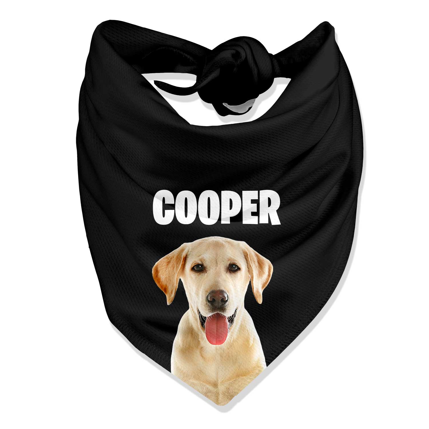 Your Dog Name Personalised Bandana