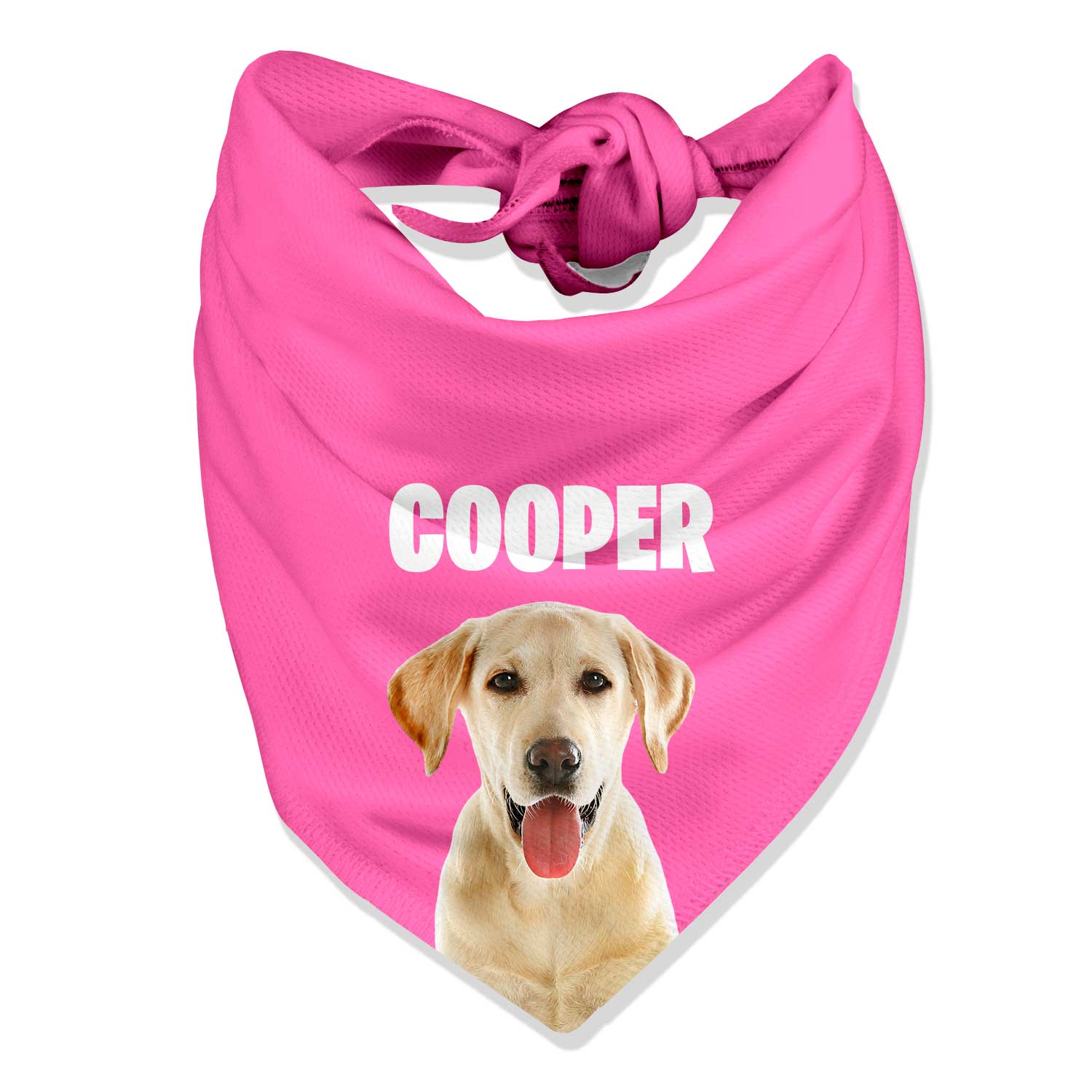 Your Dog Name Personalised Bandana