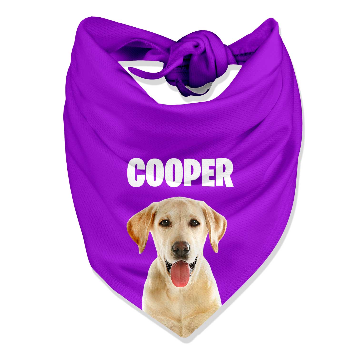 Your Dog Name Personalised Bandana
