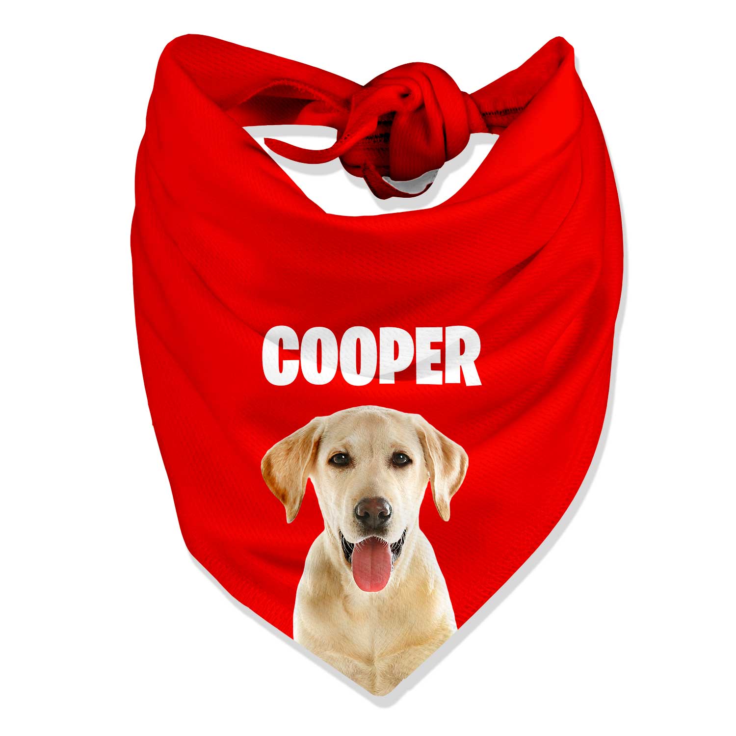 Your Dog Name Personalised Bandana