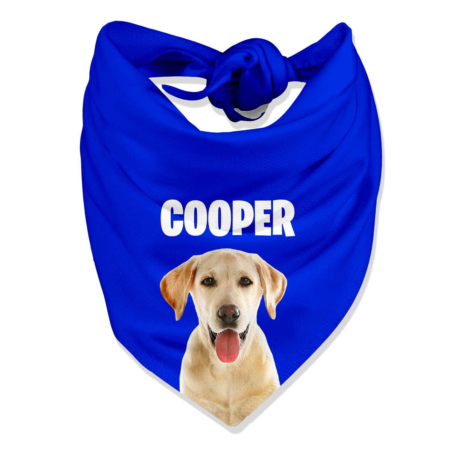 Your Dog Name Personalised Bandana