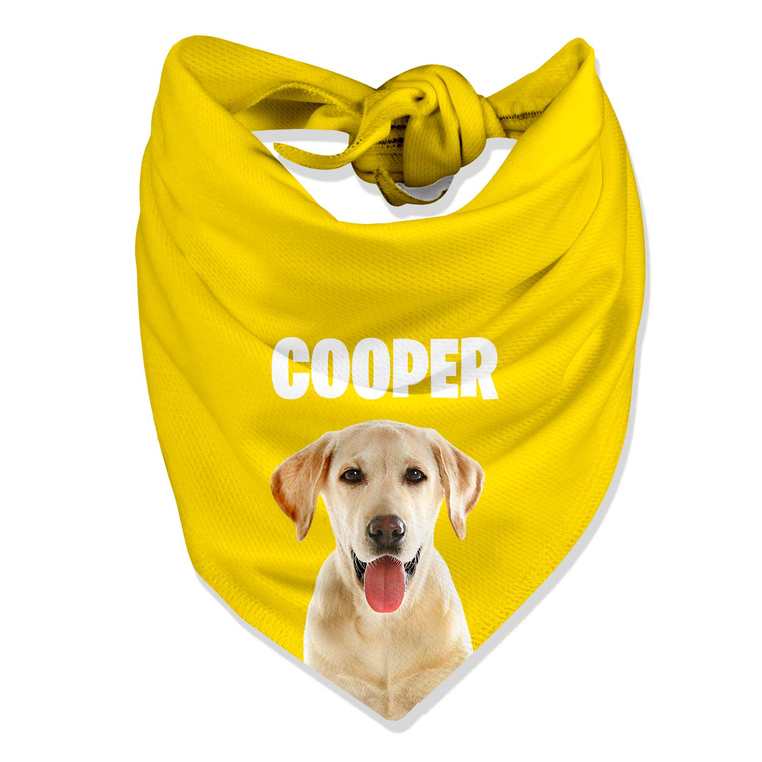Your Dog Name Personalised Bandana