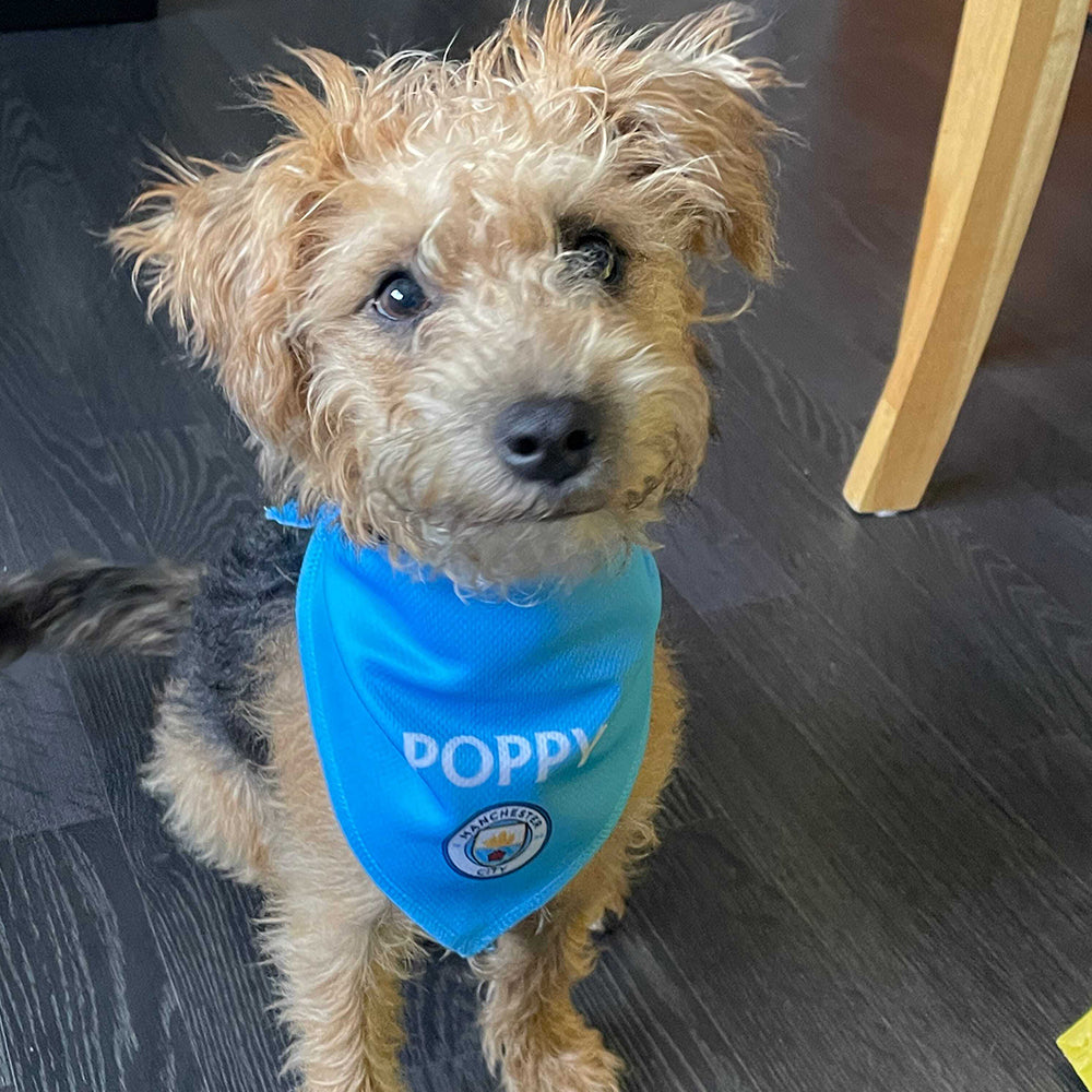 Personalised Man City Dog Bandana