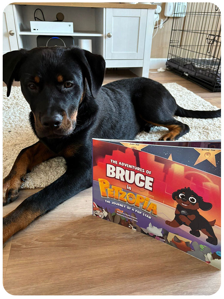 Personalised Pet Storybook Your Dog Storybook